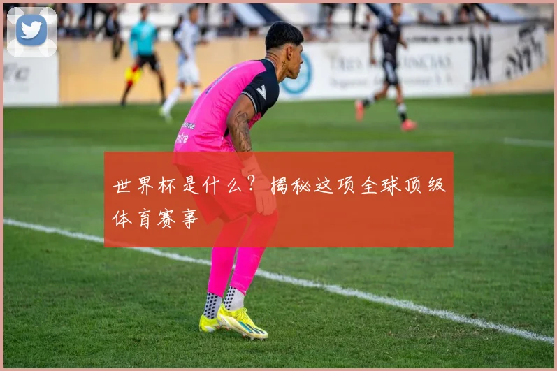 世界杯是什么？揭秘这项全球顶级体育赛事