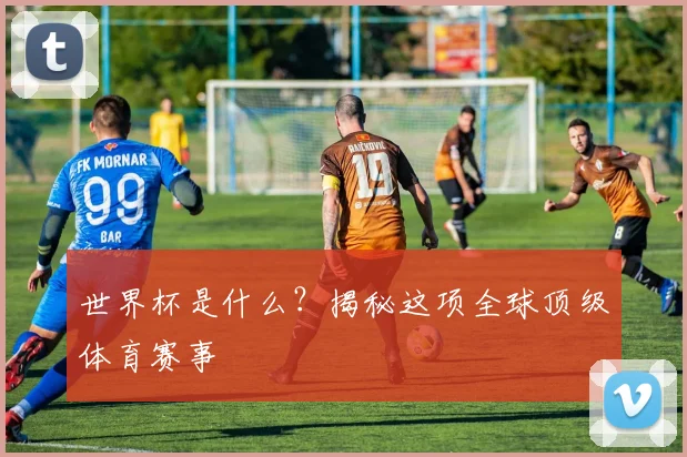 世界杯是什么？揭秘这项全球顶级体育赛事