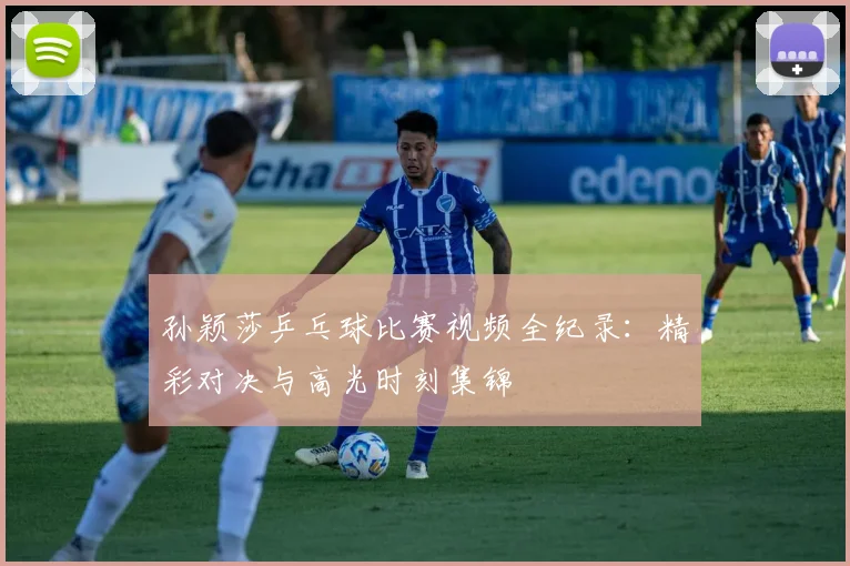 孙颖莎乒乓球比赛视频全纪录：精彩对决与高光时刻集锦