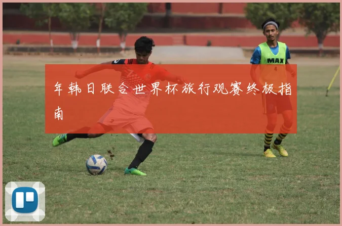 年韩日联合世界杯旅行观赛终极指南