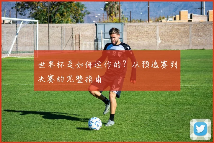 世界杯是如何运作的？从预选赛到决赛的完整指南